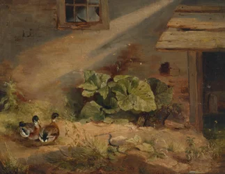 Ducks in the Yard